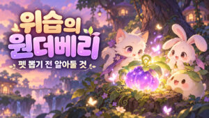 메이플 위습의 원더베리｜원더 블랙·교환·페이백, 뽑기 전 정리