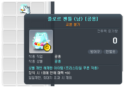 프리스타일 적용 후 아이템 이름의 공용 표시와 성별 제한 해제 툴팁
